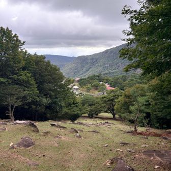 帰りは、三笠山からは斜面を下ります。