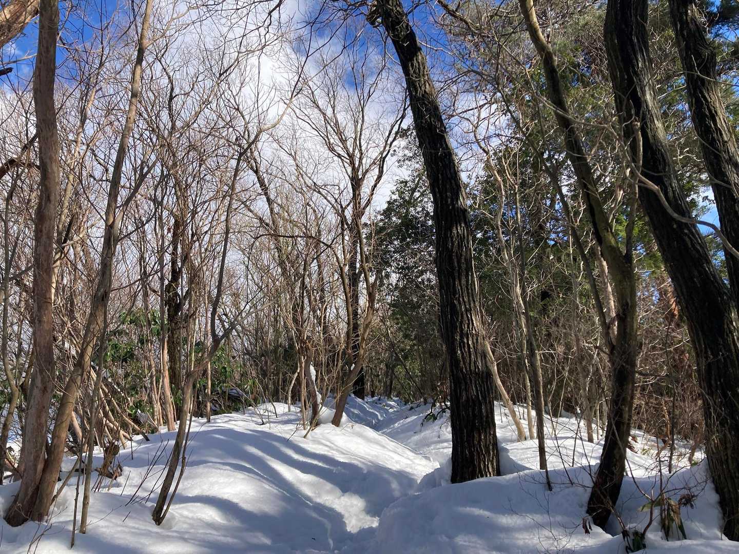 遣水観音山 周回コースの写真