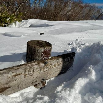 雪を掻き分けて現れた 山頂標識🤭