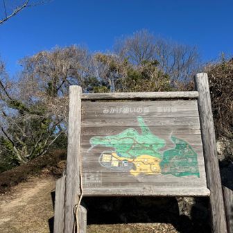 きのこ目指してGo〜🍄