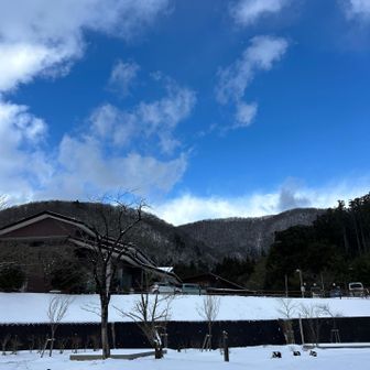 ブルー🩵
ありがとうございました