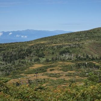 復路は晴れ間☀
眼下に広がる芝草平