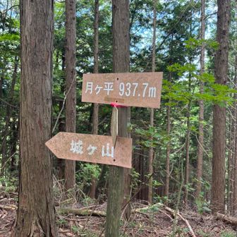 お得に2座ゲット。