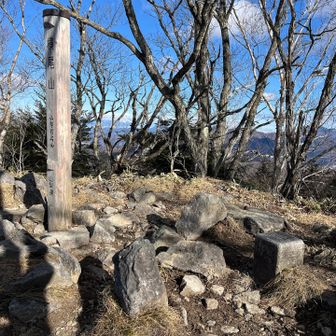 山頂の二等三角点