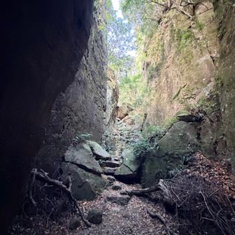 やっぱここに来るとテンション上がりますね。