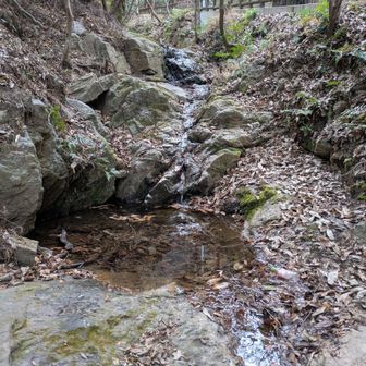 キャンプ場に下山しました
ペットボトル回収しました😊