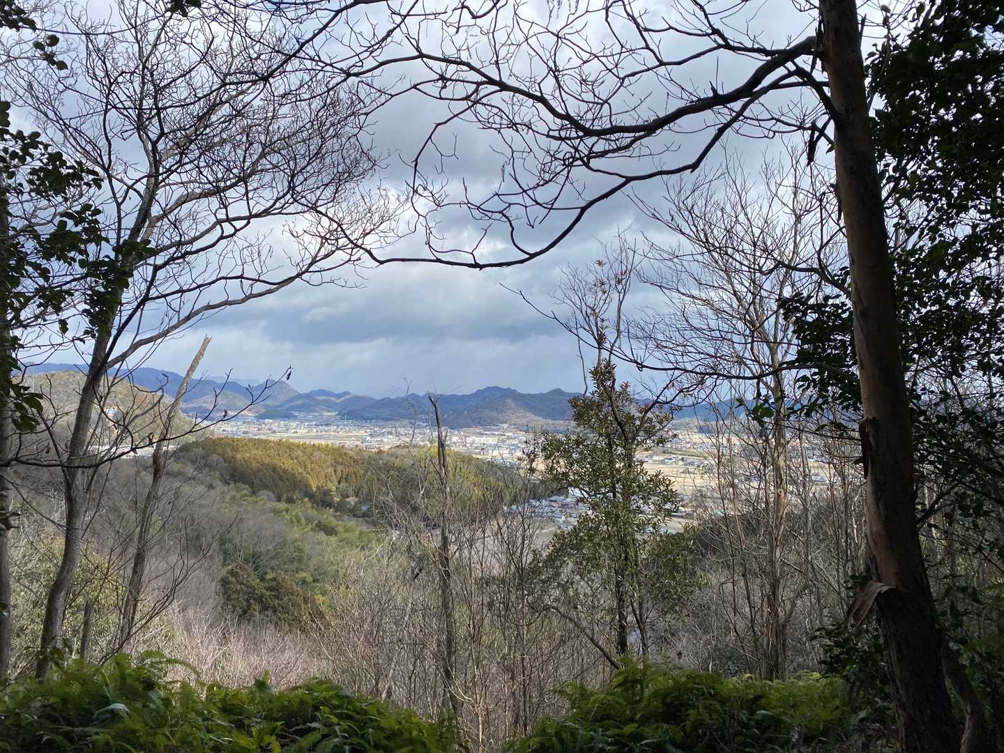 金輪山 往復コースの写真