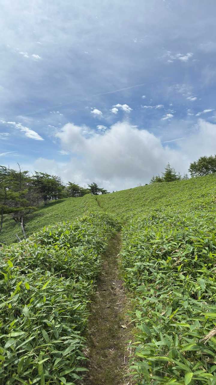 中央分水嶺トレイル（長門牧場〜白樺湖〜八島湿原〜三峰山〜美ヶ原）、2daysスルーハイク の写真 34