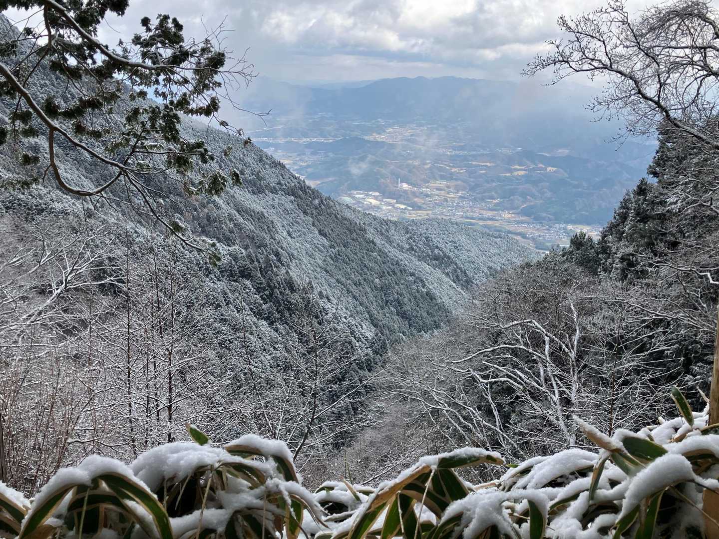 もっと寒くなったらどんな景色になるんやろ。
見てみたい。