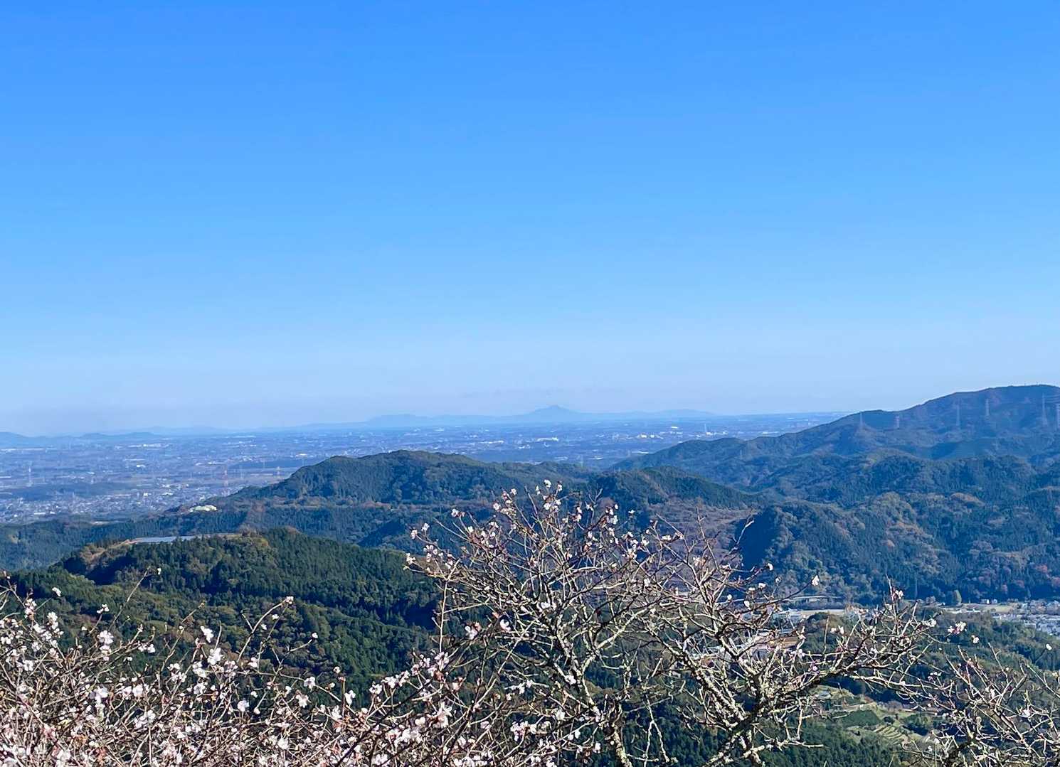 筑波山が見えます