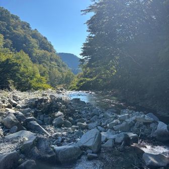 ヒノキボラマルからの下りもしんどかったぁ。道も荒れ気味で、膝の古傷が痛くて痛くて、、