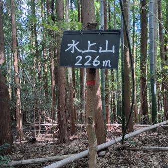 水上山　山頂眺望🈚下り🐾は赤テープ🈶けっこうなルートファイティング😅