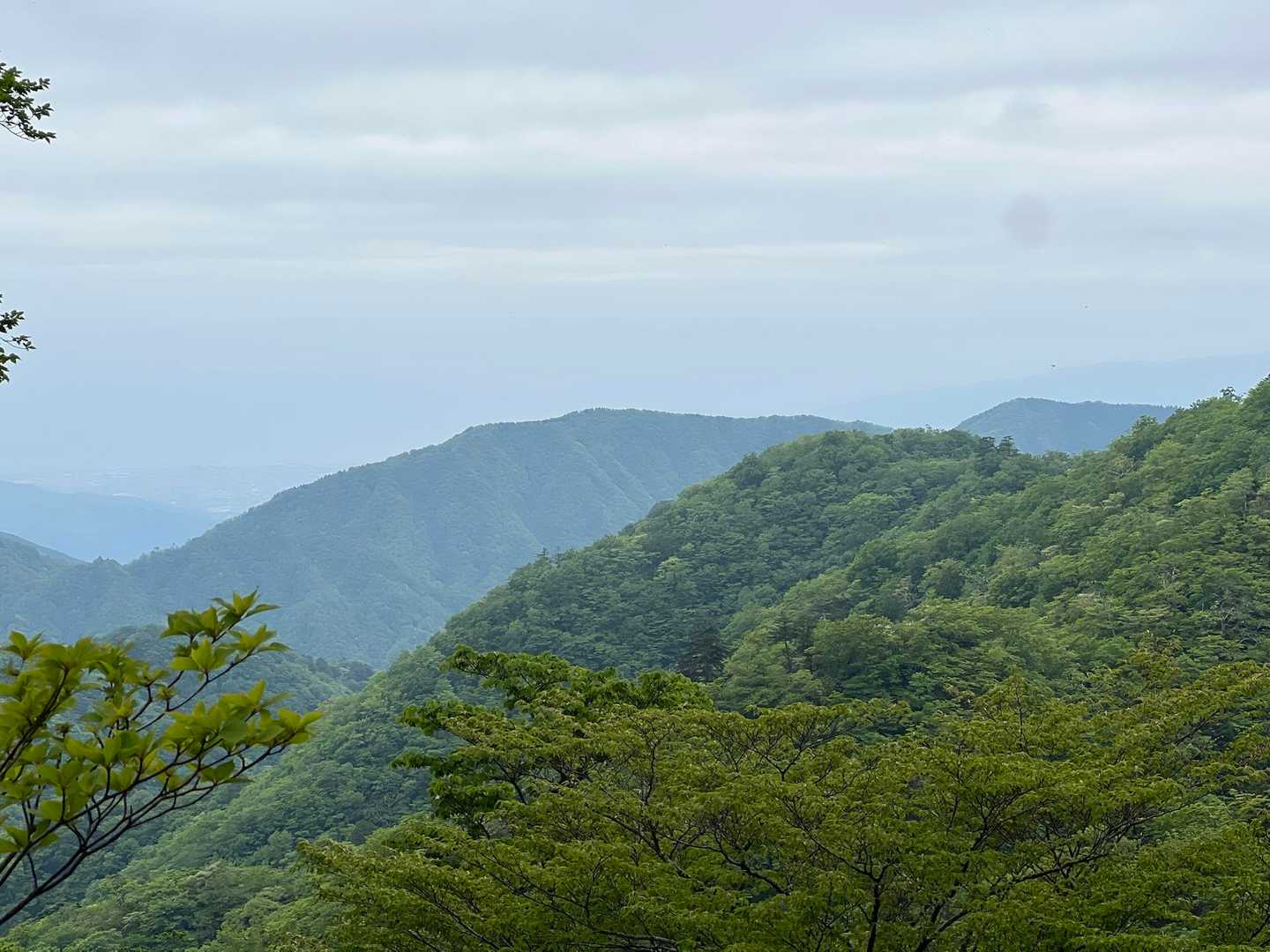南側に目をやると雨山〜ヒノキダッカ稜線がまるで谷川主脈の俎嵓みたいにキレイ。