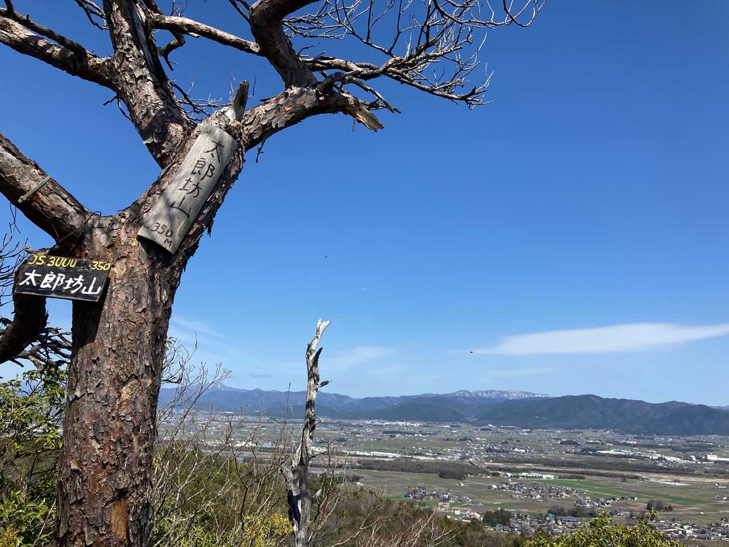 太郎坊山山頂から