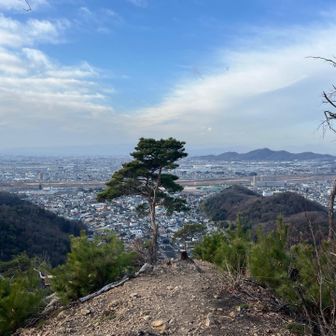 見晴らし台から足利の街なみ〽️