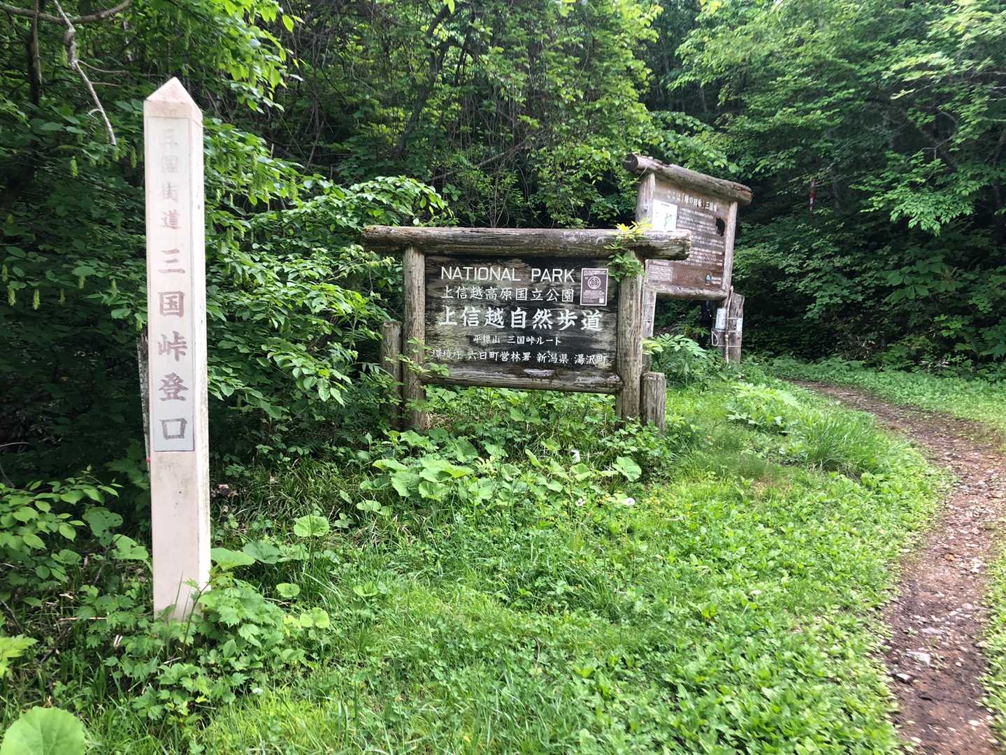 三国峠の新潟県側の登山口駐車場から出発です。