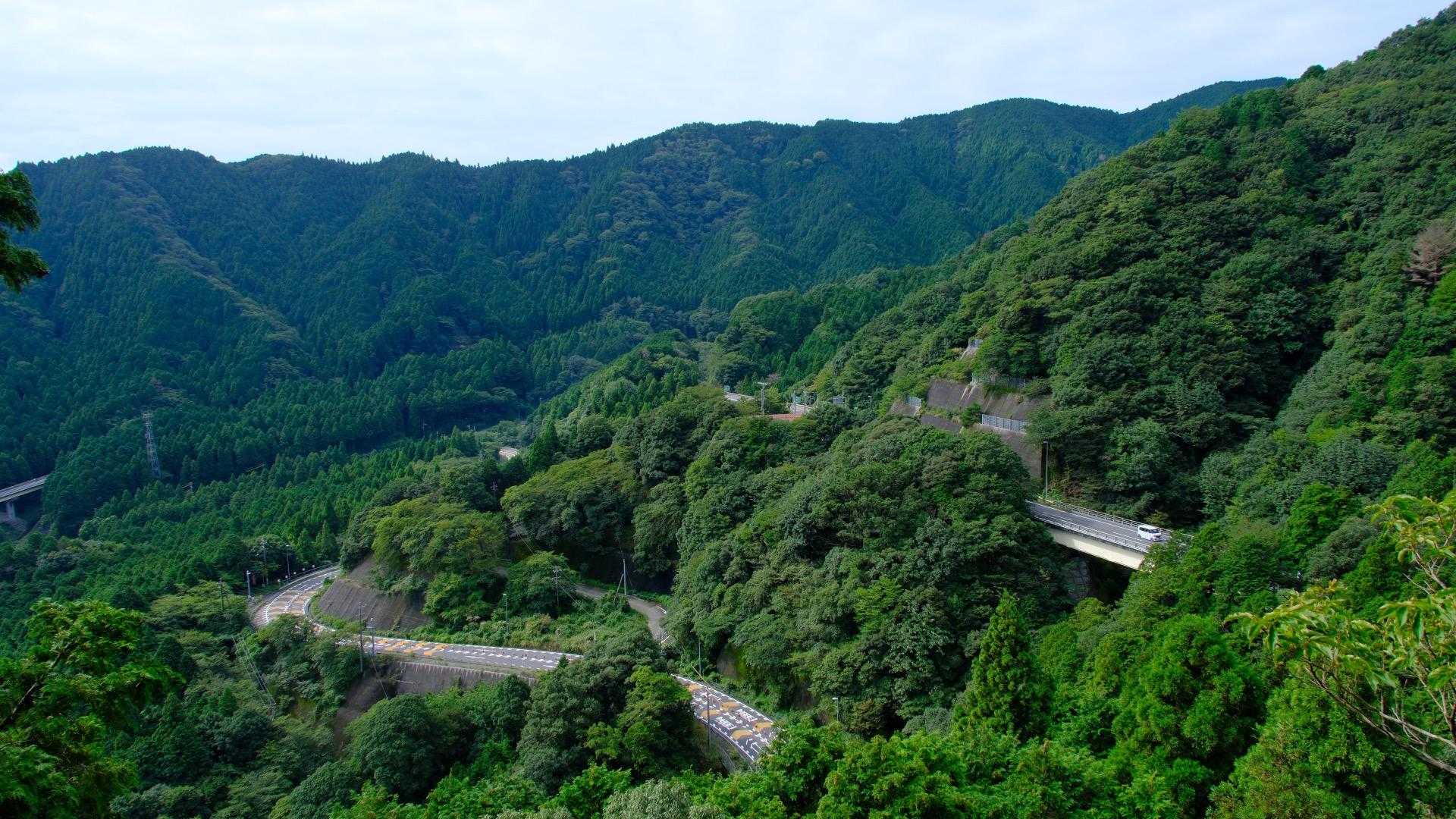 鏡岩からの眺め✨
現在、鈴鹿峠の1号線は工事中です🚧
車が走らないと知ってる猿がいっぱい道にいました🐒
