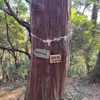 城跡の門の方には行かずに初めて行く尾根へ