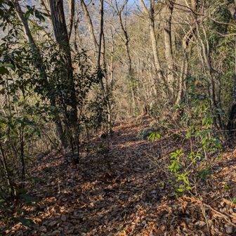 ここも抜けられる道ありますが
先行のグループについて行っちゃいましたがマップ上は私有地なのかな？🙏