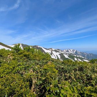 帰りの丸森尾根と奥に朳差岳