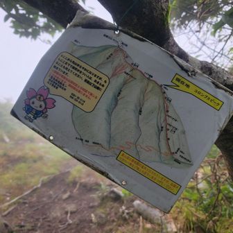 コロンブスピーク付近にある地図。
「もしここまでで疲労がきつい人は、あきらめる事も考えてください」って書いてある…
つまりは無茶はするなって事だな！
ワイ？………(´・ω・`)