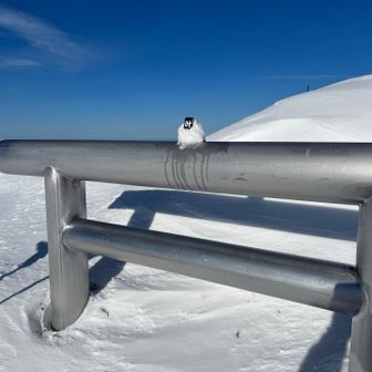 さっ　登頂　幸い奥宮様は🤏　叶い石をセット完了✅　もちろん家内安全です🙋‍♂️