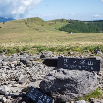 蝶々深山山頂