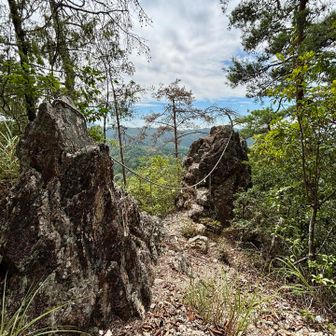 夫婦岩 

この後大船権現山(+10km)まで行こうと思ってたけど暑さでバテバテで諦め(笑)