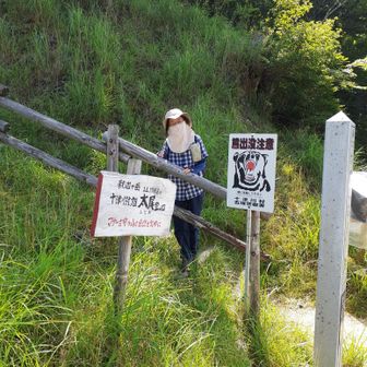 登山口に到着。熊注意の似合う女。