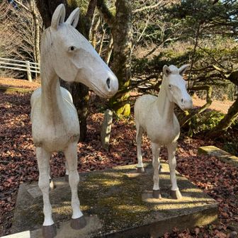 白い馬2頭
来年は午年だから、参拝者が多くくるね。