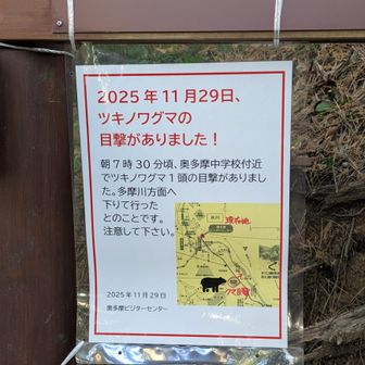 割と最近まで熊の目撃情報があったようです