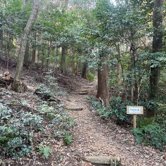 直登で登って、帰りはその時に考えます。