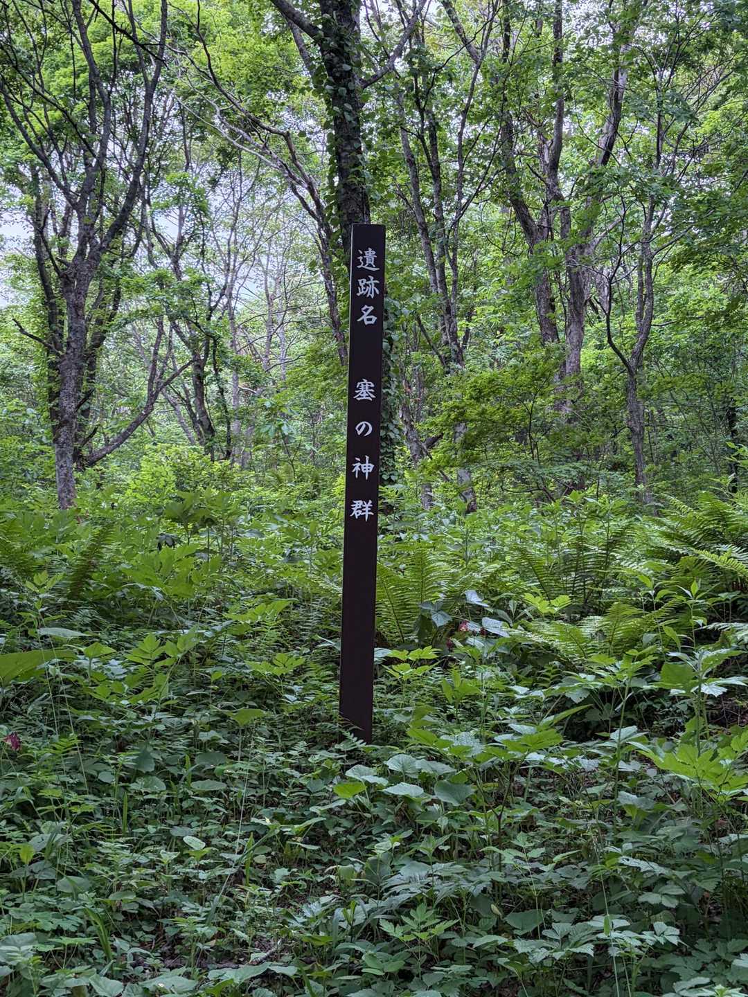 西根寺田コース登山口-七時雨山 往復コースの写真