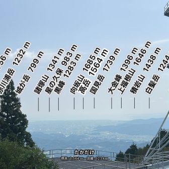 こんな感じ