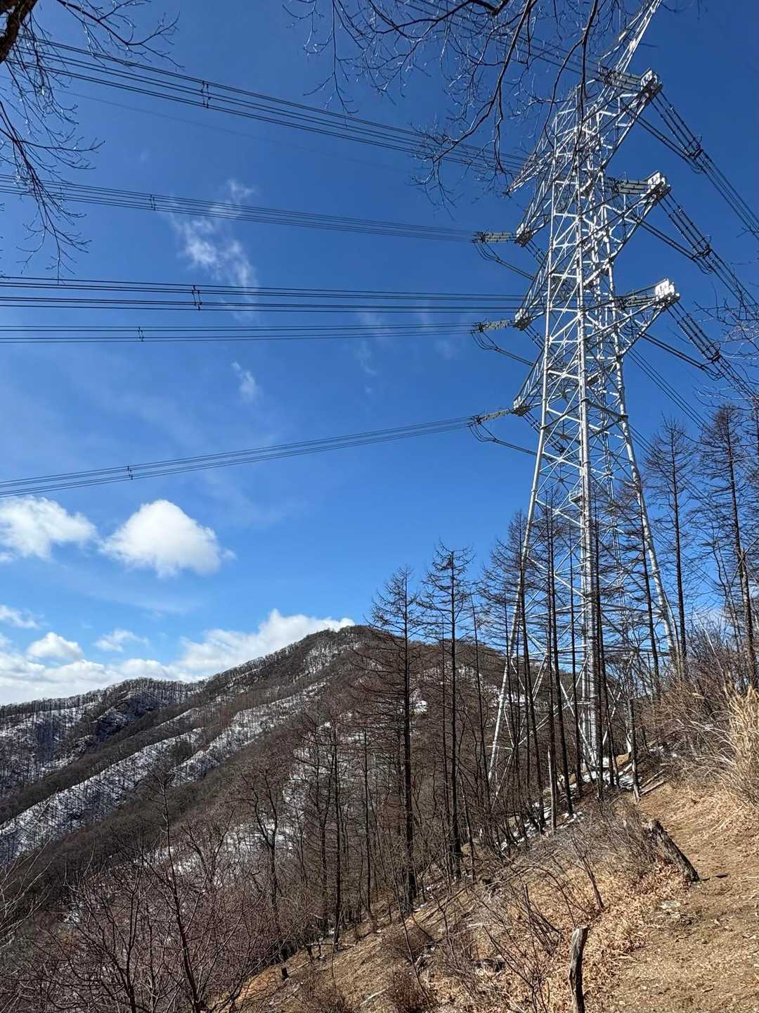 鉄塔越しに赤久縄山見えた！