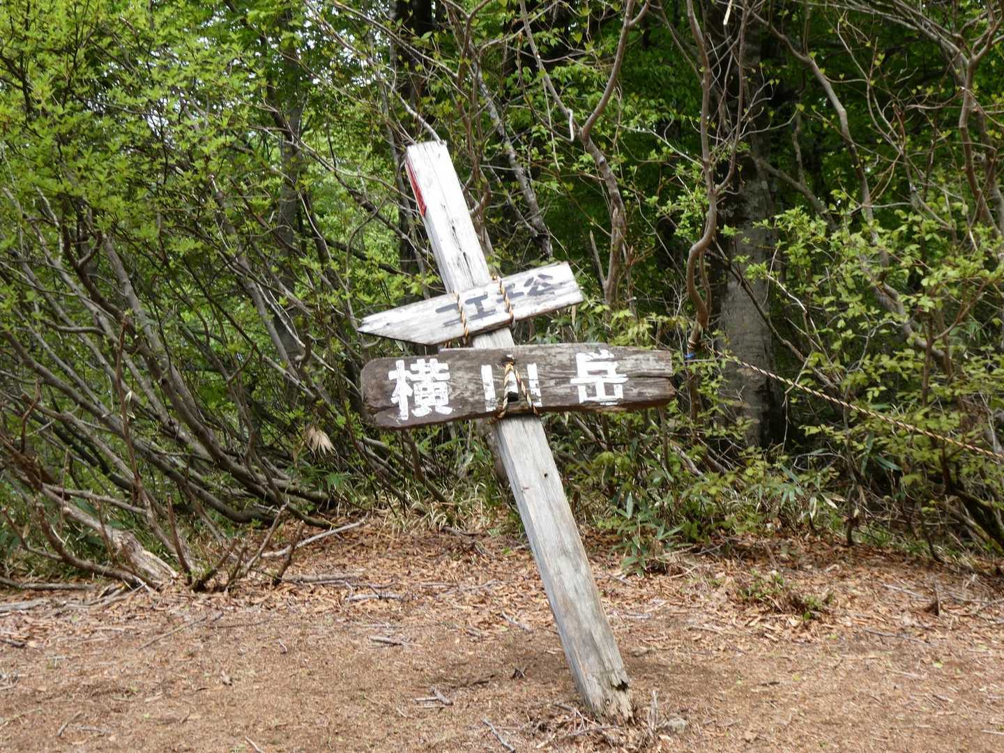 山頂~♪
何年越しかの横山岳(笑)😅
来られてよかった！