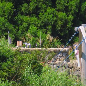 六甲枝垂れの端を 望遠ズームで 🦆ガンは見えますか？
もっとよく見えると思ったけど無料ではココまで
