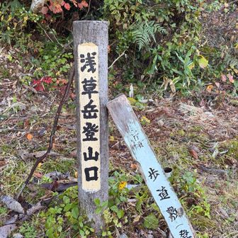 ネズモチコースからお邪魔します