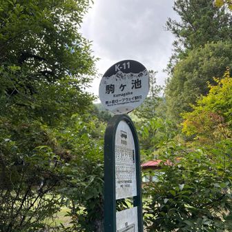 そして昨日のスタート地点。駒ヶ池バス停。ゴール！！