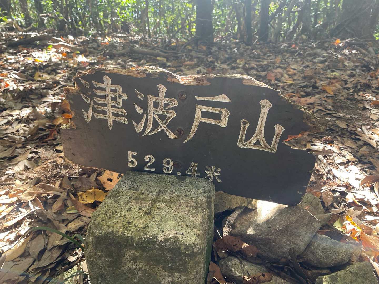 津波戸山 往復コースの写真