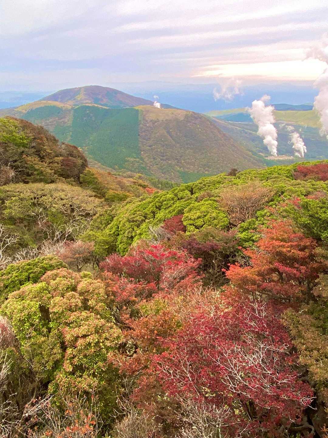 牧ノ戸峠-黒岩山-上泉水山-泉水山 縦走コースの写真
