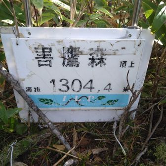 山頂の看板