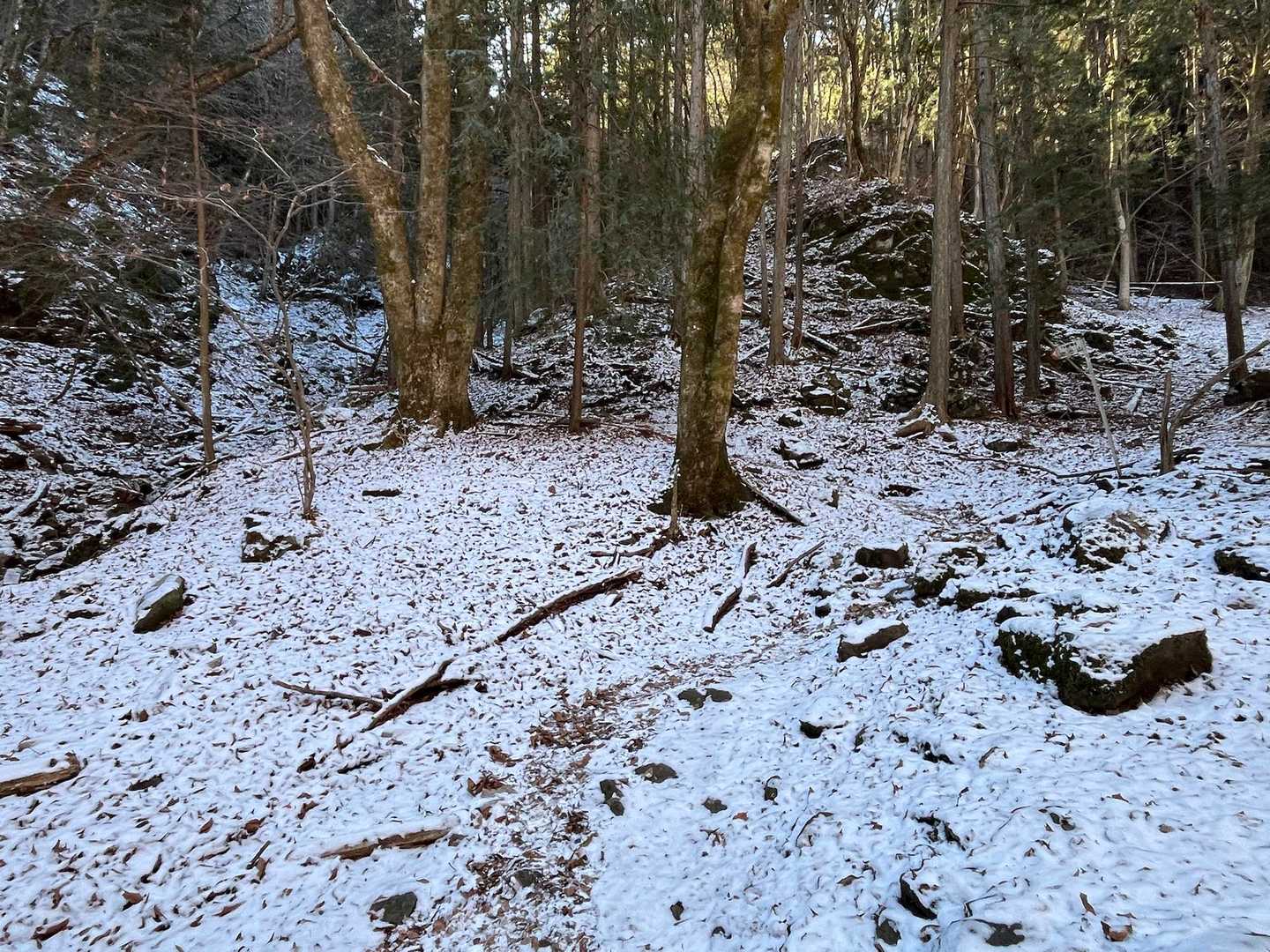 沢沿いは雪が残ってました