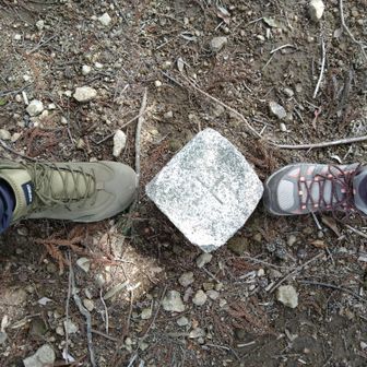 今日はちゃんと登山？靴。