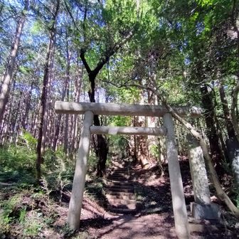 下皆川登山口より…
階段トレ😜