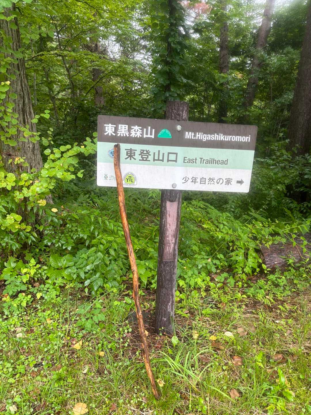 東登山口まで。
割と序盤で手に入れた相棒🪾
長さもよく折れずに最後までありがとう。