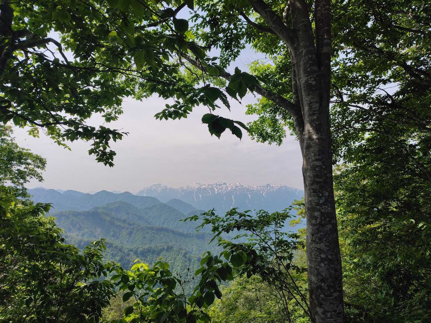 負釣山 往復コースの写真