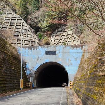 写真には写っていないが爆風🍃今にも降ってきそう🌧