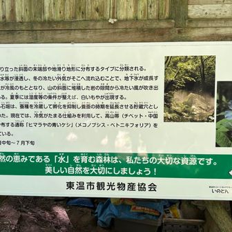 ふむふむ🤔
↓ 東温市のHP
https://www.city.toon.ehime.jp/soshiki/13/2169.html