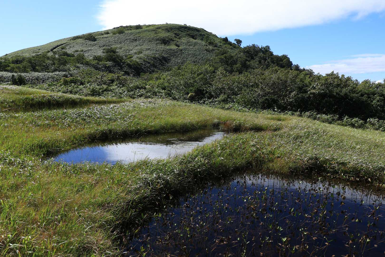 荒沢登山口-田代岳 往復コースの写真